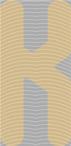 NBA and Team-QD 2208